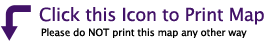 Click this icon to print